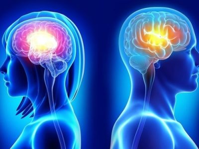 آیا مغز مرد و زن تفاوت دارد؟ پاسخ هوش مصنوعی