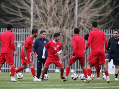 امیر قلعه نویی