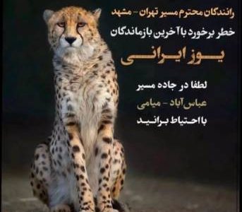 پست باربد بابایی