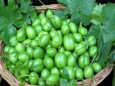گوجه سبز در سبد چوبی