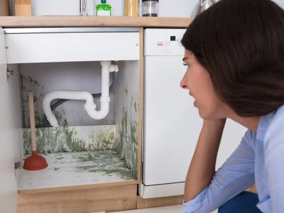 کپک زدن کابینت ام دی اف