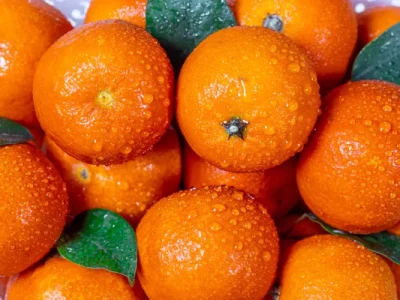 خواص نارنگی