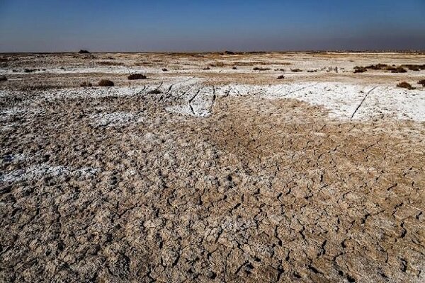 تالاب صالحیه در اولویت برنامههای مقابله با گرد و غبار قرار گرفت